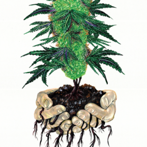 Green Fire Ganja Painting By Morphis Art